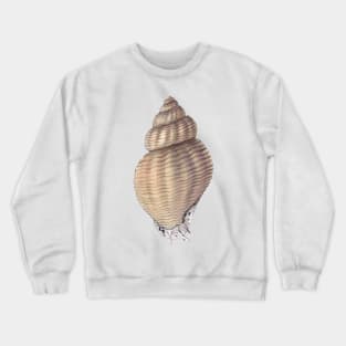 Waved Whelk Crewneck Sweatshirt